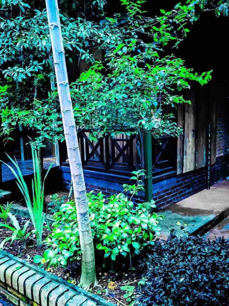 Palo Rosa Lodge Puerto Iguazú Dış mekan fotoğraf