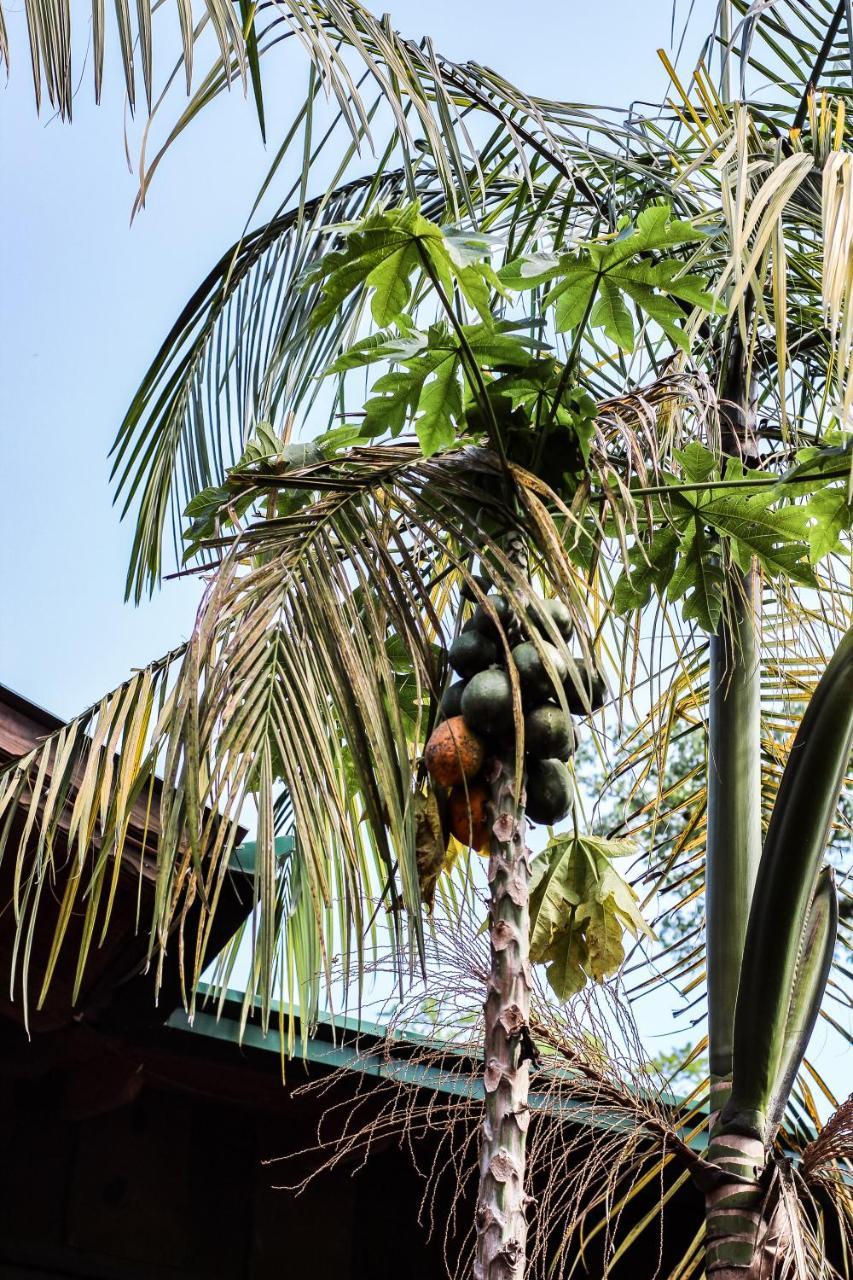 Palo Rosa Lodge Puerto Iguazú Dış mekan fotoğraf